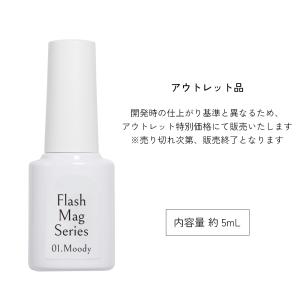 [アウトレット品]フラッシュマグ ポリッシュ ...の詳細画像5