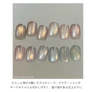 フラッシュマグ ジェルネイル ポリッシュ マグ...の詳細画像2