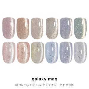 HEMA free TPO free マグネットネイル フラッシュネイル ネイルタウンジェル ギャラクシーマグ Galaxy 全12色 15-75ミクロン 輝くマグネット粒子 フラッシュマグ