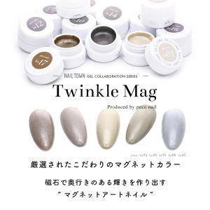 [アウトレット品・生産終了]マグネットネイル ...の詳細画像1