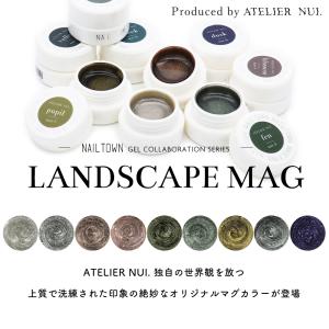 ジェルネイル ポリッシュ マグネットネイル ネ...の詳細画像1