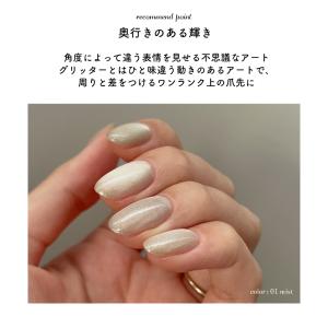 ジェルネイル ポリッシュ マグネットネイル ネ...の詳細画像3
