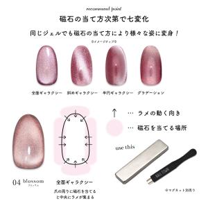 ジェルネイル ポリッシュ マグネットネイル ネ...の詳細画像5