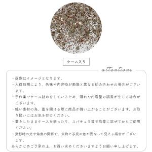 ジェルネイル ネイルタウン ネイルアート ホロ...の詳細画像3