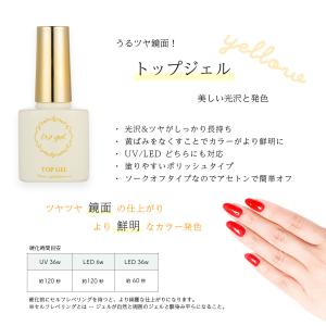 ジェルネイル ネイルタウン ベースジェル+3種...の詳細画像3