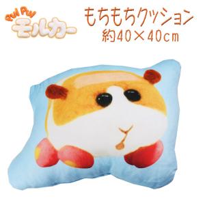 2026年2月】モルカーのおすすめ人気ランキング - Yahoo!ショッピング