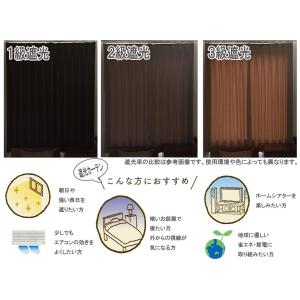 形状記憶 遮光ドレープカーテン 幅100×21...の詳細画像5