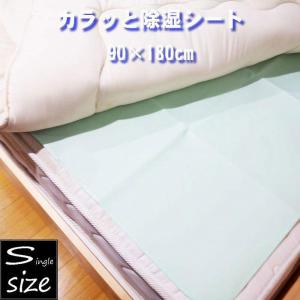 消臭防カビ除湿シート シングルサイズ 90×180cm センサー付き