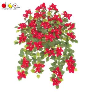 ブーゲンビリアの商品一覧 通販 Yahoo ショッピング