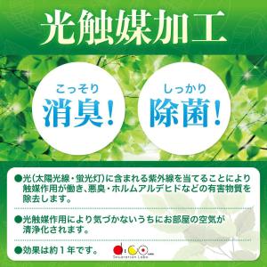 《光触媒》ポンポンマム ラスト FLS5221...の詳細画像1