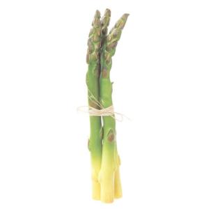 (食品サンプル・フルーツ・野菜)アスパラガス(3本/パック)...