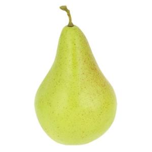 洋梨 VF1218  食品サンプル フェイクフード ディスプレイ