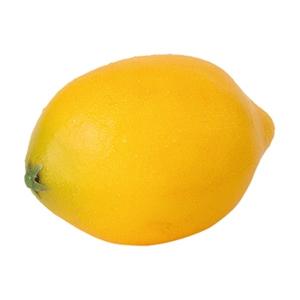 レモン VF1228  食品サンプル フェイクフード ディスプレイ