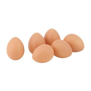 タマゴ 6ケパック  プラスチック  ブラウン  VF1239BR