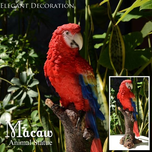 Macaw　コンゴウインコ　自然の造形が美しい鳥の置物　スタンドオブジェ　インコ　オウムの置物