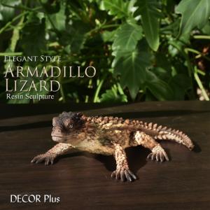 Armadillo Lizard　鎧のような鱗　アルマジロリザードの置物　動物　トカゲのオブジェ　本物そっくりの飾り物｜decorplus