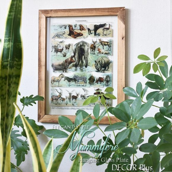 マミフェレー 動物図鑑のようなガラスプレート 壁掛け 壁飾り ウォールアート おしゃれ グリーン ブ...
