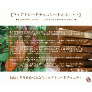 フェアトレード チョコレート 第3世界ショップ...の詳細画像4