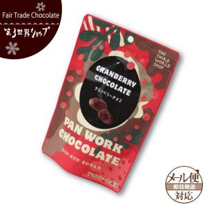 チョコ ダークチョコレート73% チリ[チョコレートソール]〈冬季限定