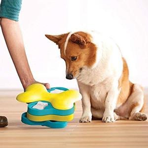 犬用競技用 アジリティ用品 犬用品 ペット用品 生き物 通販 Yahoo ショッピング