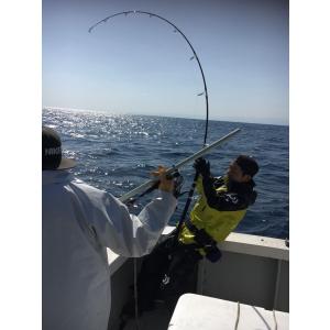 猛闘犬丸 猛ポップ丸21F-MG : DEEP BLUE OCEAN - 通販 - Yahoo