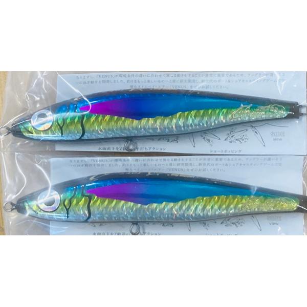 BIG DIPPER x SVX　コラボ　VENUS240F／ヴィーナス 240F フローティングス...