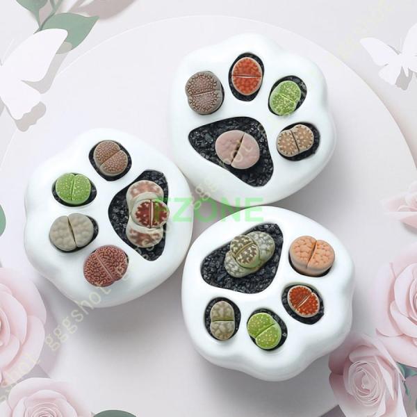 鉢植え 観葉植物鉢 陶器 置物 セラミック ネコの爪の植木鉢 北欧 玄関 部屋飾り 底穴あり シンプ...