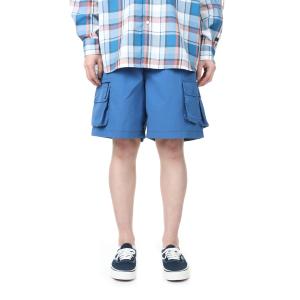DAIWA PIER39◇TECH PERFECT FISHING SHORTS/ショートパンツ/L