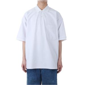 DAIWA PIER39（ダイワ ピア39） TECH KNIT POLO S/S - BROWN GRAY (BE