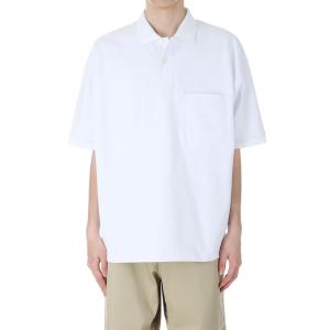 DAIWA PIER39（ダイワ ピア39） TECH KNIT POLO S/S - BROWN GRAY (BE