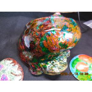 夜光貝特大サイズ真珠層磨き : 夜光貝と海洋深層水調合液販売 - 通販