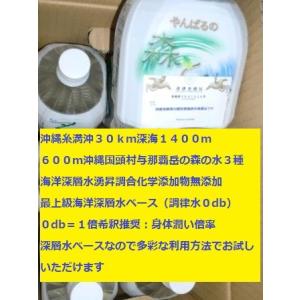 2倍希釈用深層水調合液やんばるの森と海2リットルボトル6本C/S