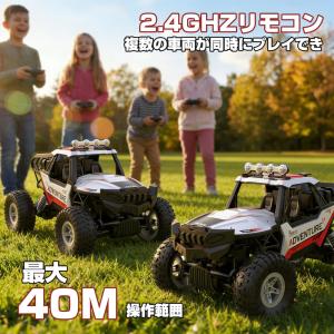 DEERC ラジコンカー 1/16 4WD 四...の詳細画像4