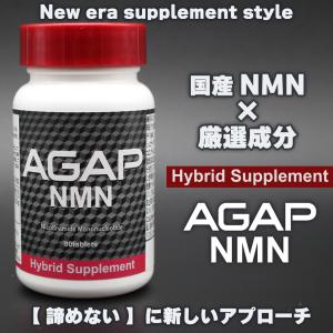 ノコギリヤシ NMN 亜鉛酵母 フィーバーフュー オタネニンジン ミレットエキス ヒハツエキス ケラチン など31種を厳選 サプリ AGAP NMN アギャップ