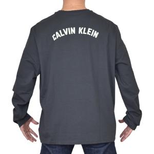 大きいサイズ メンズ CK Calvin Kl...の詳細画像2