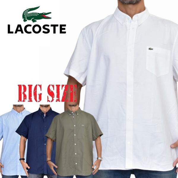 大きいサイズ メンズ ラコステ LACOSTE 半袖シャツ ワンポイント オックスフォード ボタンダ...