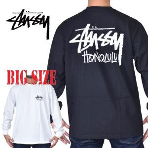 大きいサイズメンズ STUSSY ステューシー 半袖 Tシャツ ハワイ