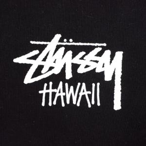 大きいサイズメンズ STUSSY ステューシー...の詳細画像3