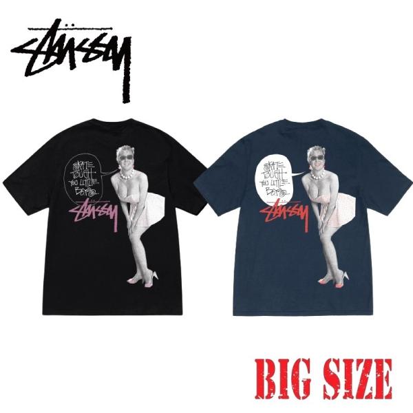 大きいサイズメンズ STUSSY ステューシー 半袖 Tシャツ バックロゴプリント SKATE TO...