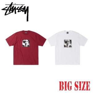 大きいサイズメンズ STUSSY ステューシー 半袖 Tシャツ PERSONALITIES TEE XXL