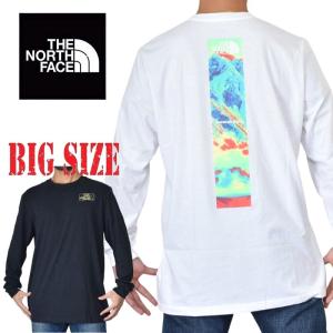 セール！30%OFF】Diggy-MO'モデル！ARTMATIC Skull StoneRaglan