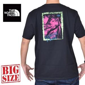 セール！30%OFF】Diggy-MO'モデル！ARTMATIC Skull StoneRaglan