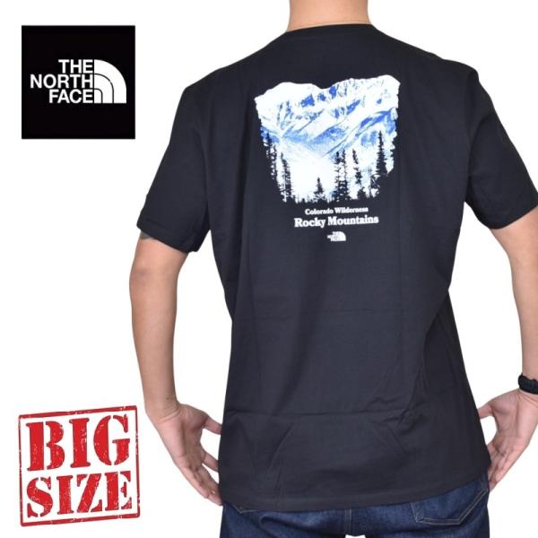大きいサイズ メンズ ノースフェイス THE NORTH FACE 半袖 Ｔシャツ バックプリント ...