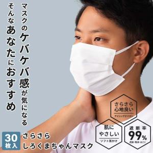 マスク 不織布 冷感 個包装 接触冷感 30枚入り 蒸れ 肌荒れ防止 大きめ 小さめ しろくまちゃんマスク メール便