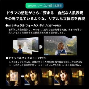 (要事前見積もり) TVS REGZA 4K ...の詳細画像3