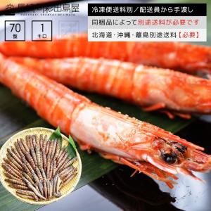 限定入荷 お1人様1点まで えび エビ 海老 鹿児島産