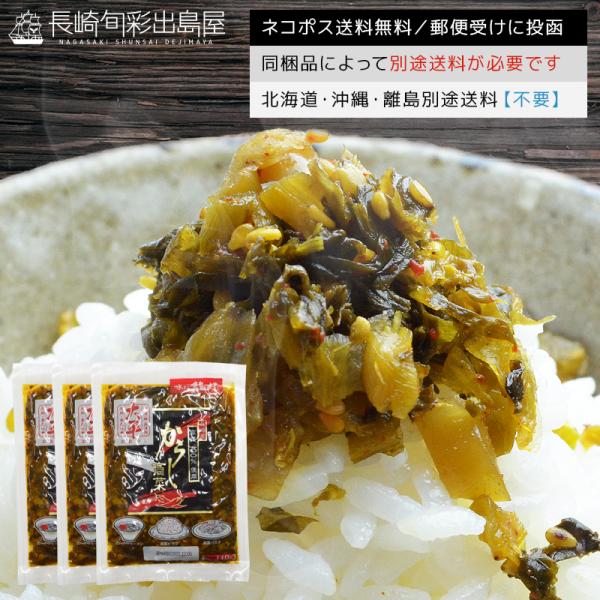 長崎県産100% 九州 長崎 老舗 長崎産 国産 からし高菜120g 3袋セット 辛子 刻み 高菜 ...