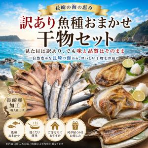 干物 詰め合わせ 訳あり産直おまかせ干物セット...の詳細画像1
