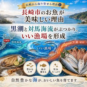 干物 詰め合わせ 訳あり産直おまかせ干物セット...の詳細画像2