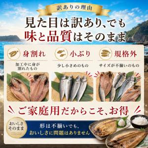 干物 詰め合わせ 訳あり産直おまかせ干物セット...の詳細画像5